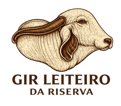 Gir Leiteiro da Riserva