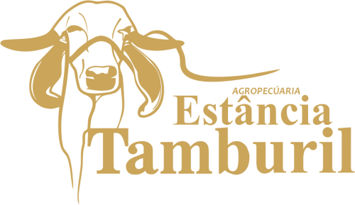 Estância Tamburil