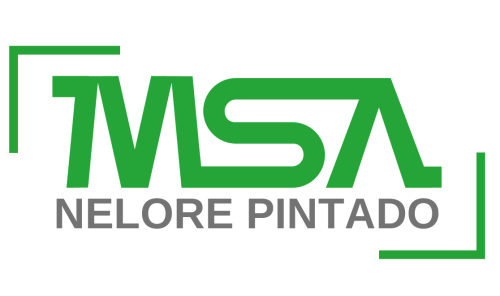 Nelore Pintado MSA