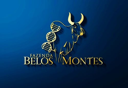 Fazenda Belos Montes