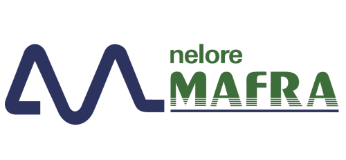 Nelore MAFRA