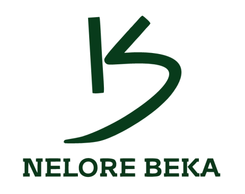 Pecuária Seletiva BEKA
