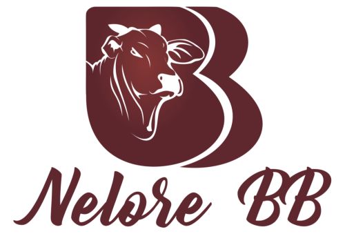 Nelore BB