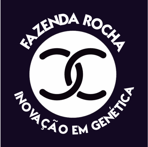Sítio Rocha