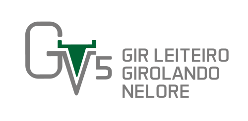 Grupo Cinco Estrelas