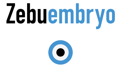 ZebuEmbryo