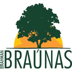 Fazenda Braúnas