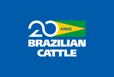 Brazilian Cattle 20 Anos