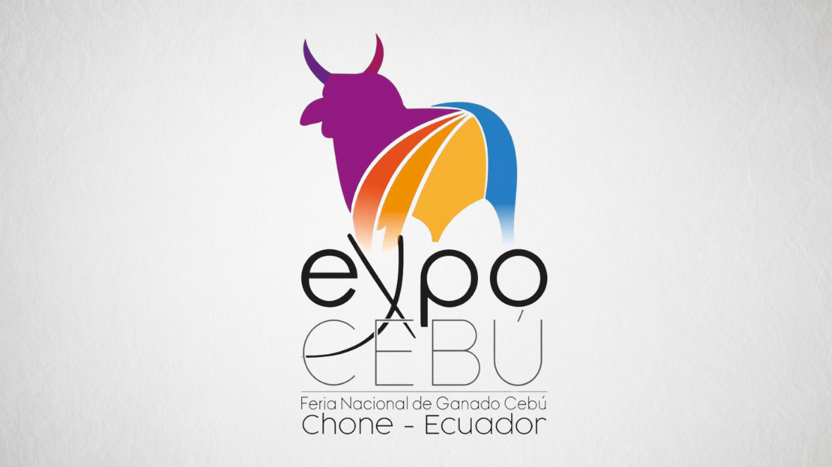 O Brazilian Cattle vai à Chone!