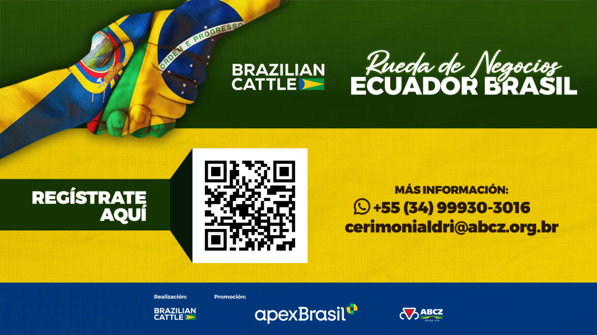 Brazilian Cattle e ABCZ em Chone!