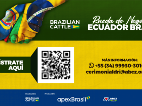 Brazilian Cattle e ABCZ em Chone!