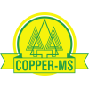 Copper - Cooperativa dos Produtores Agropecuaristas do Paraíso e Região
